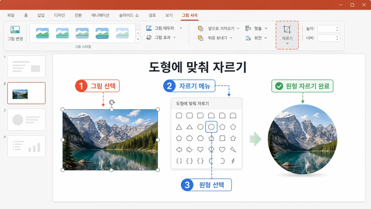 선택한 직사각형 사진에서 자르기 메뉴의 원형 도형을 선택해 원형 사진으로 완성된 결과를 보여주는 화면.